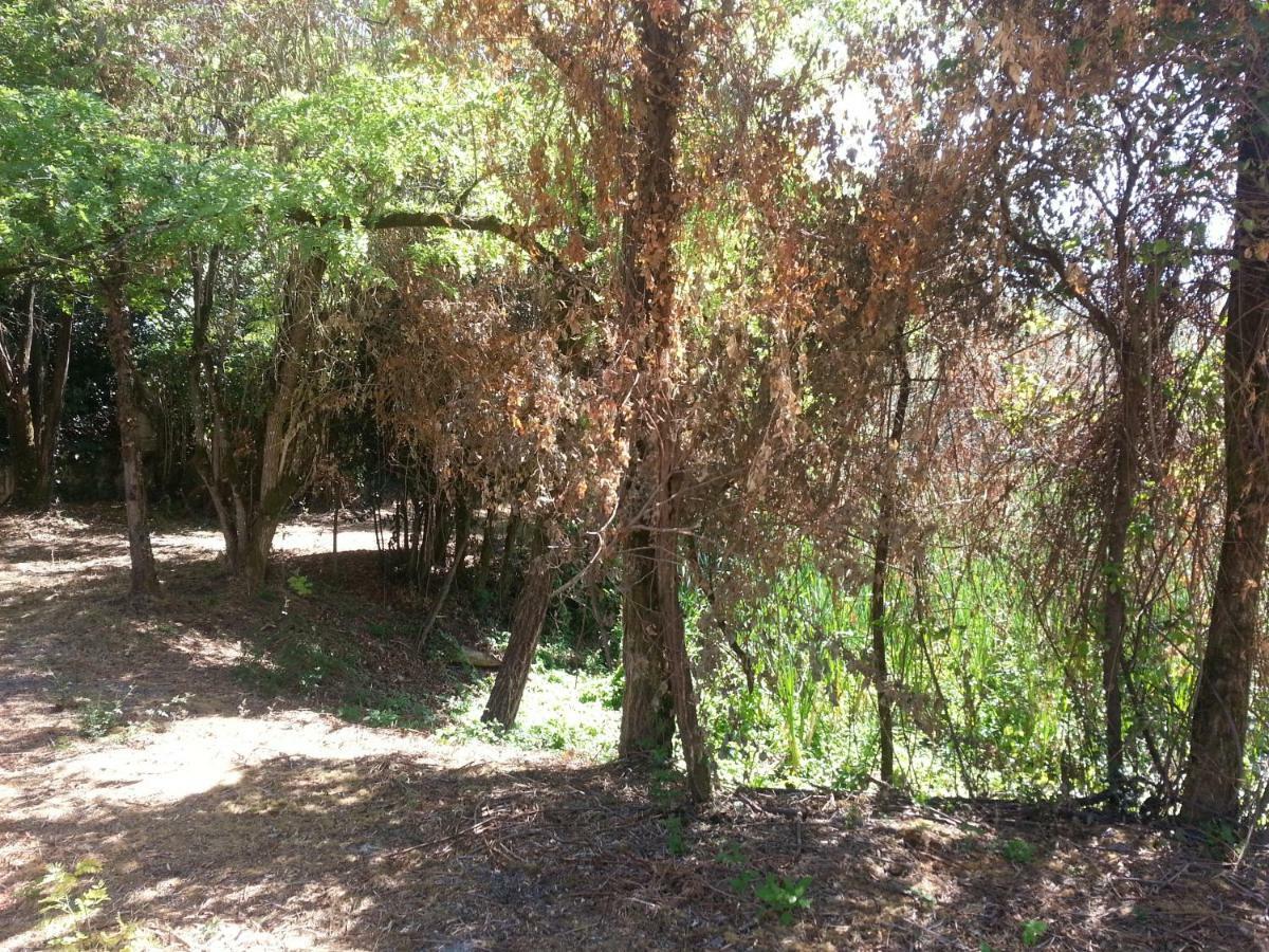 Cherves-de-Cognac Chateau De Champblanc מראה חיצוני תמונה