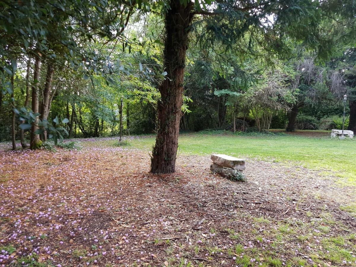 Cherves-de-Cognac Chateau De Champblanc מראה חיצוני תמונה