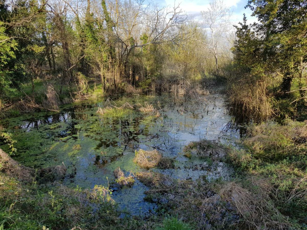 Cherves-de-Cognac Chateau De Champblanc מראה חיצוני תמונה